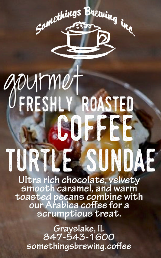 Turtle Sundae