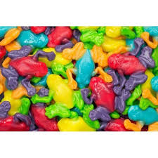 Rainforest Frogs